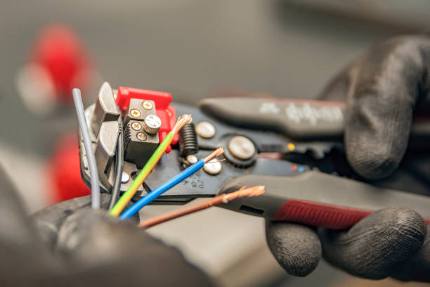 Best Electric Panel Repair  in Ladera Heights, CA