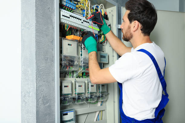 Best Affordable Electrician  in Ladera Heights, CA